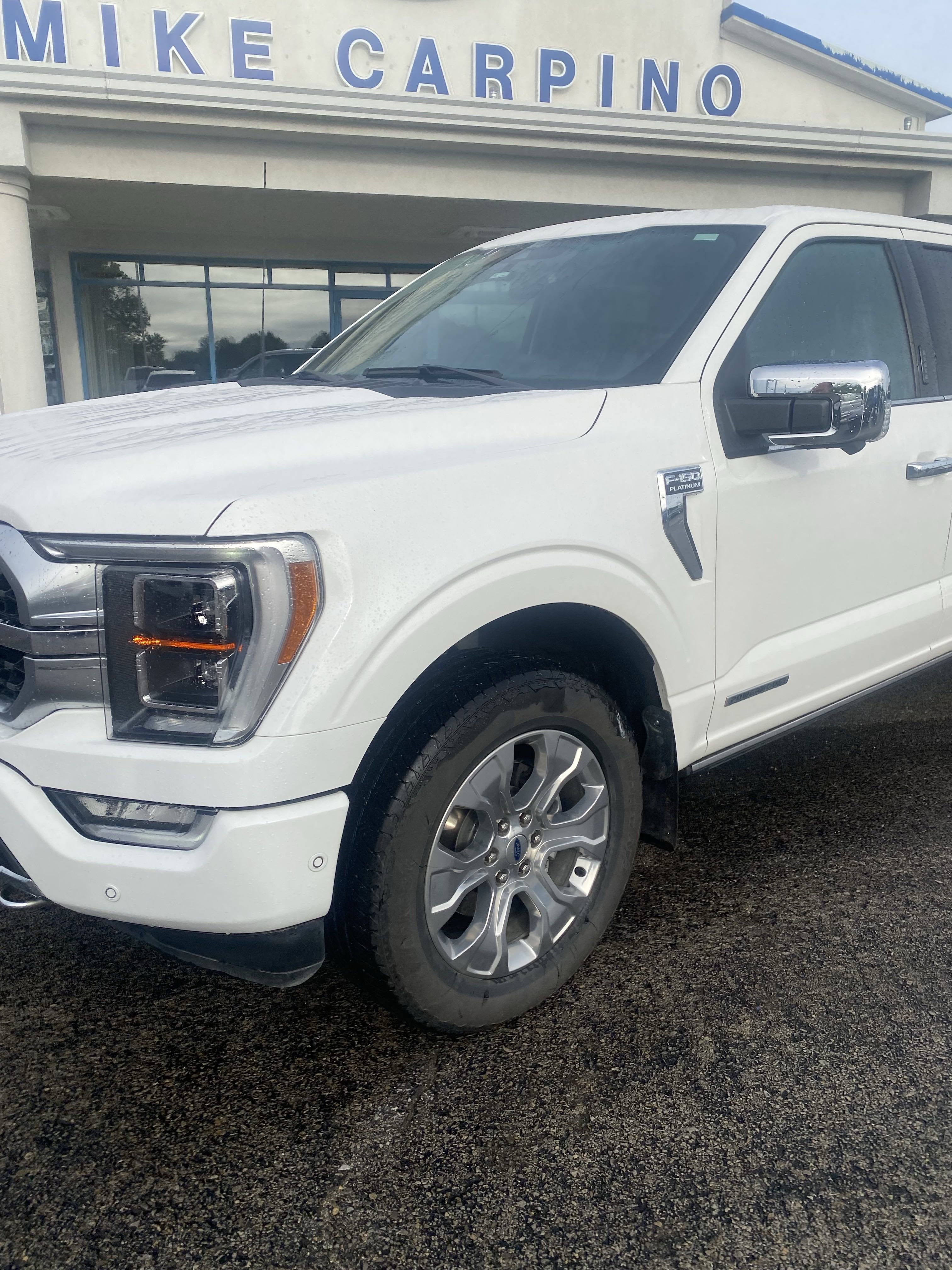 2022 Ford F-150 Platinum